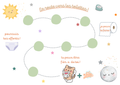 Tableau d'autonomie