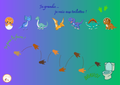 Tableau d'autonomie - Thème DINO